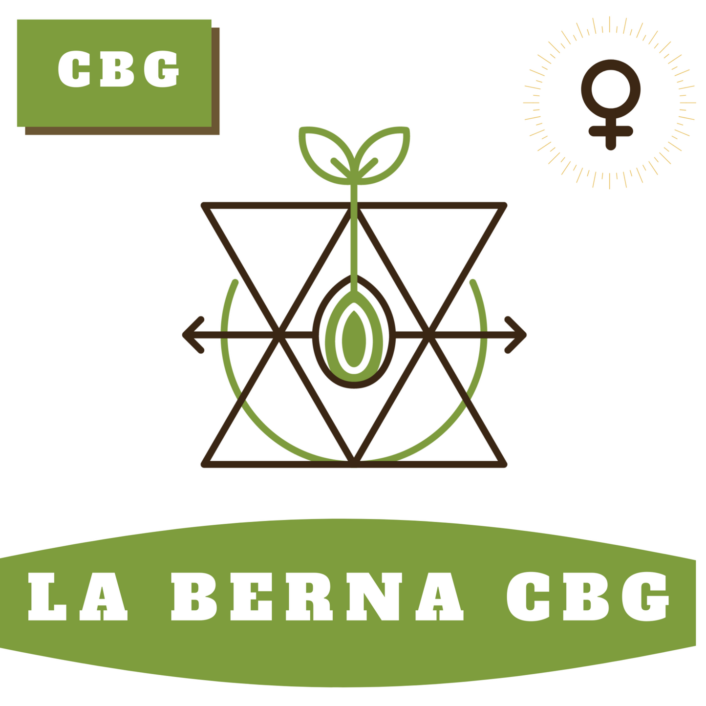La Berna CBG (feminisiert)