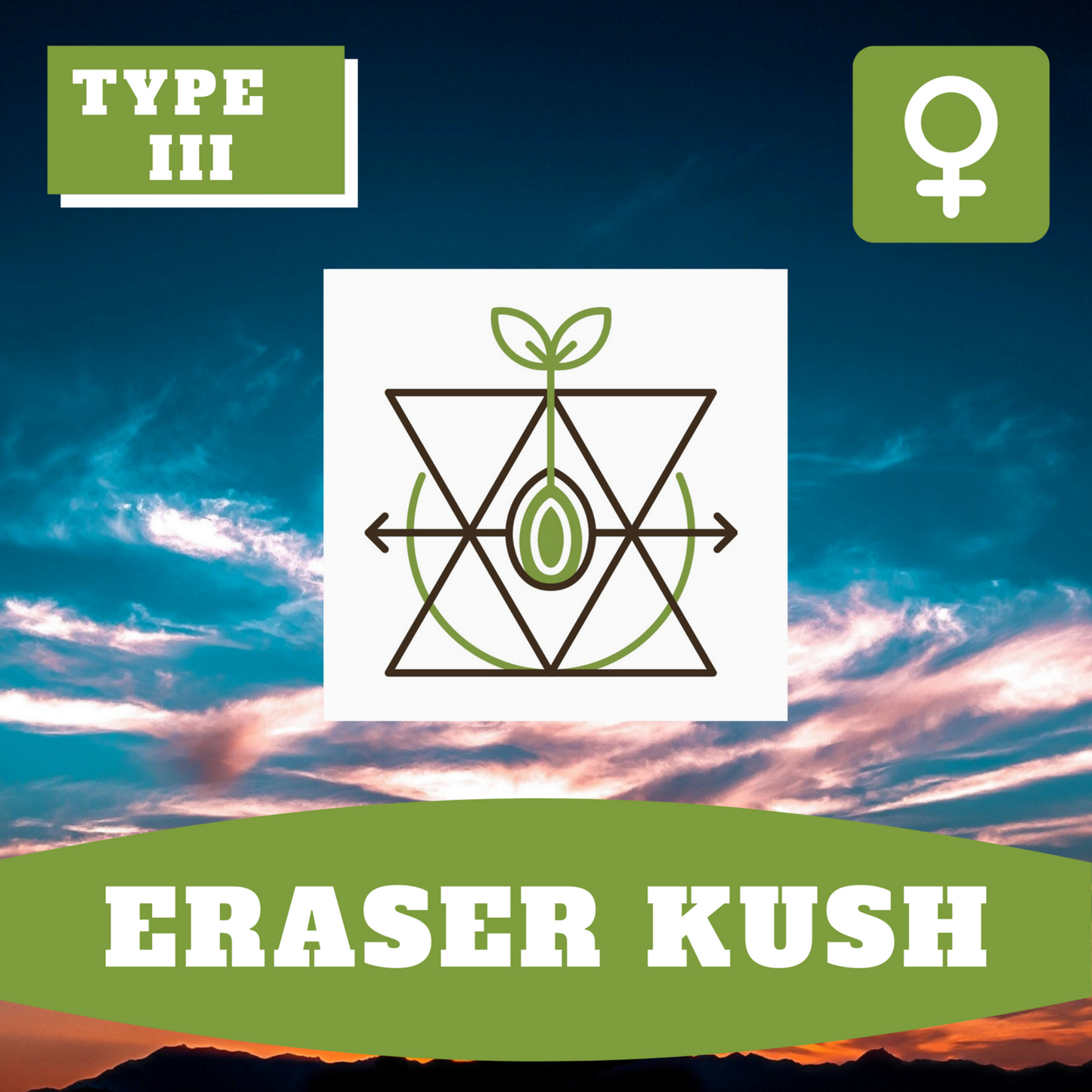 Eraser Kush CBD (feminisiert)