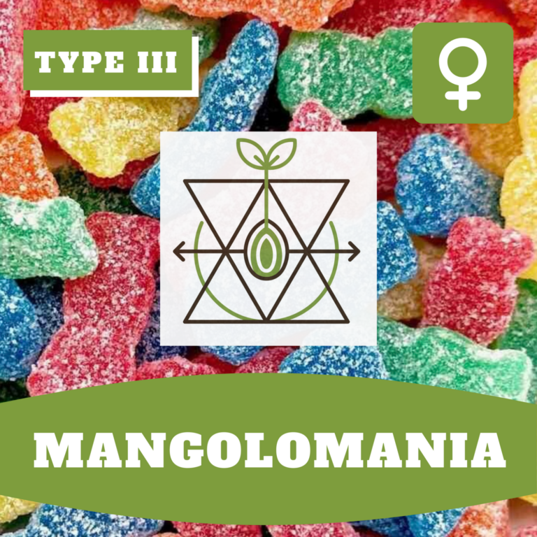 Mangolomania CBD (feminisiert)