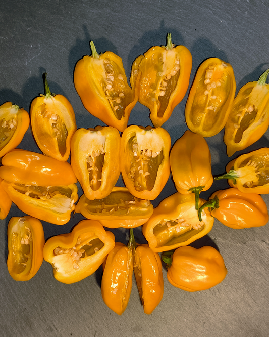 Big Sun Habanero - 15 seeds