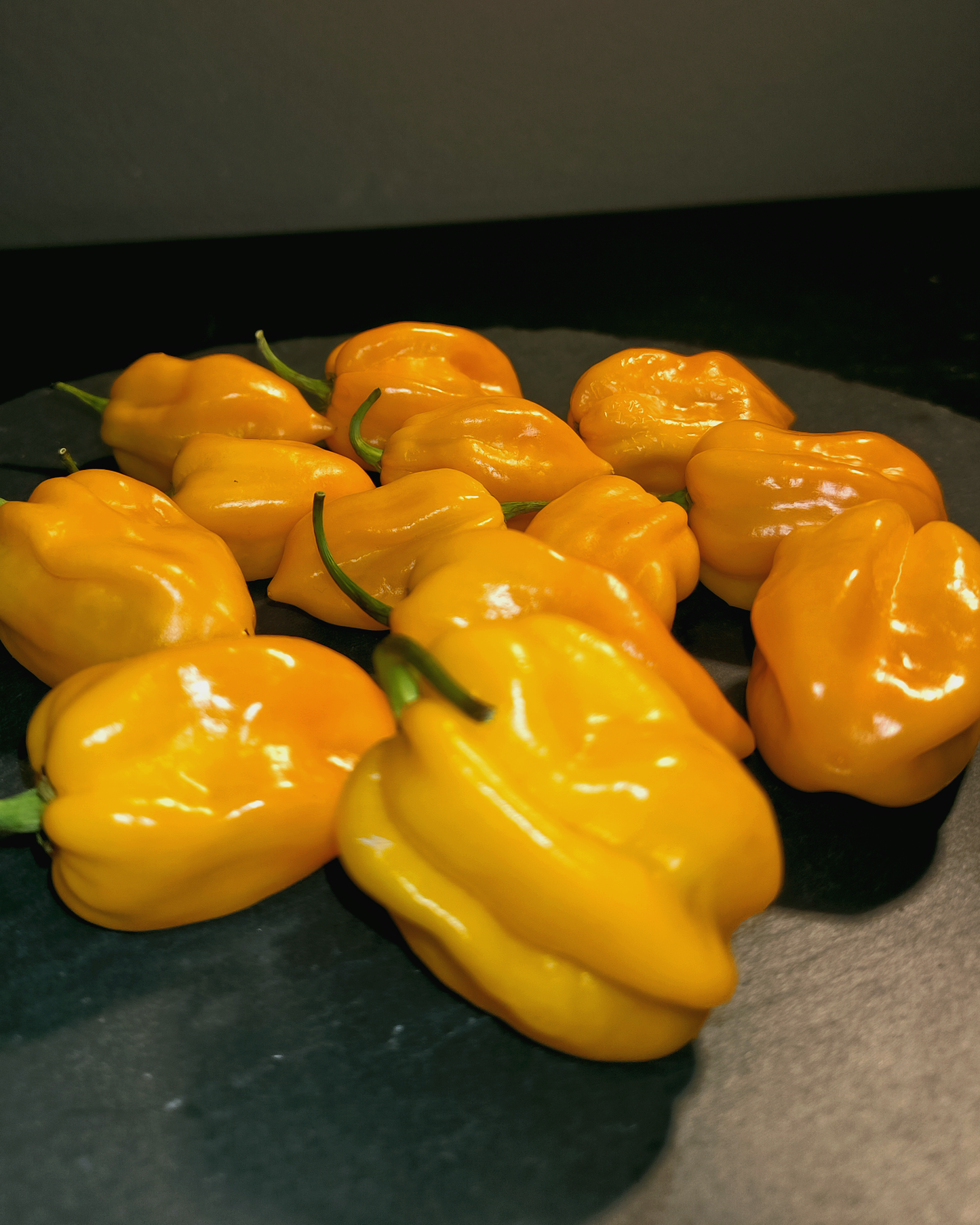 Big Sun Habanero - 15 seeds
