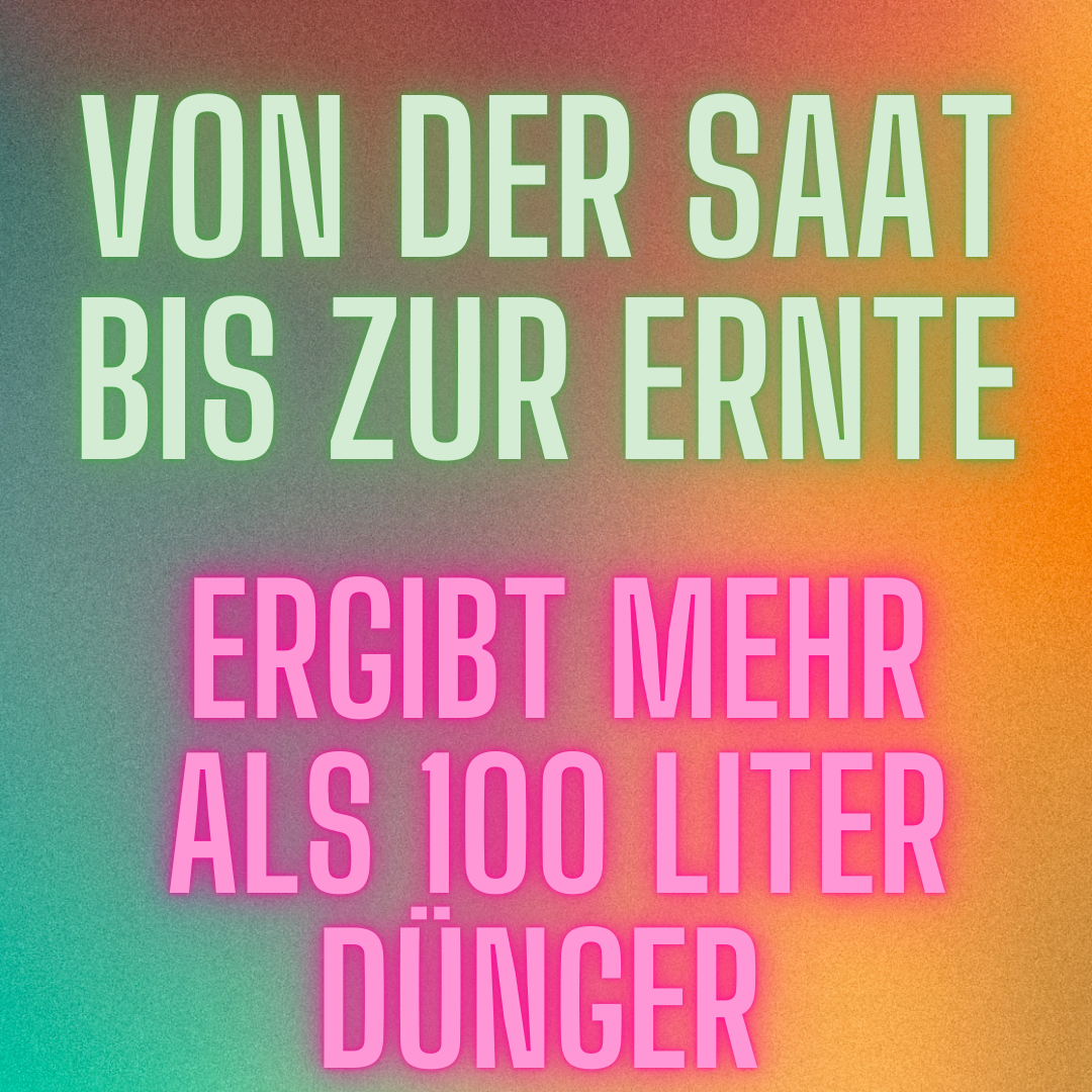Universaldünger 1001 ml – Hanfkonzentrat für gesundes Wachstum