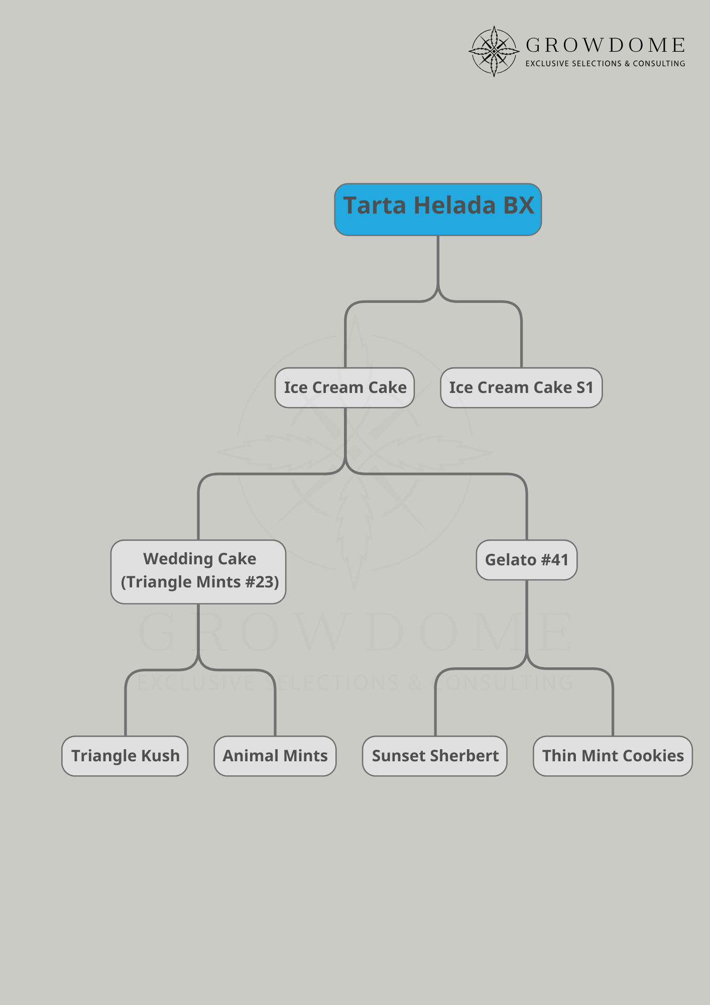 Tarta Helada / Ice Cream Cake (feminisiert)
