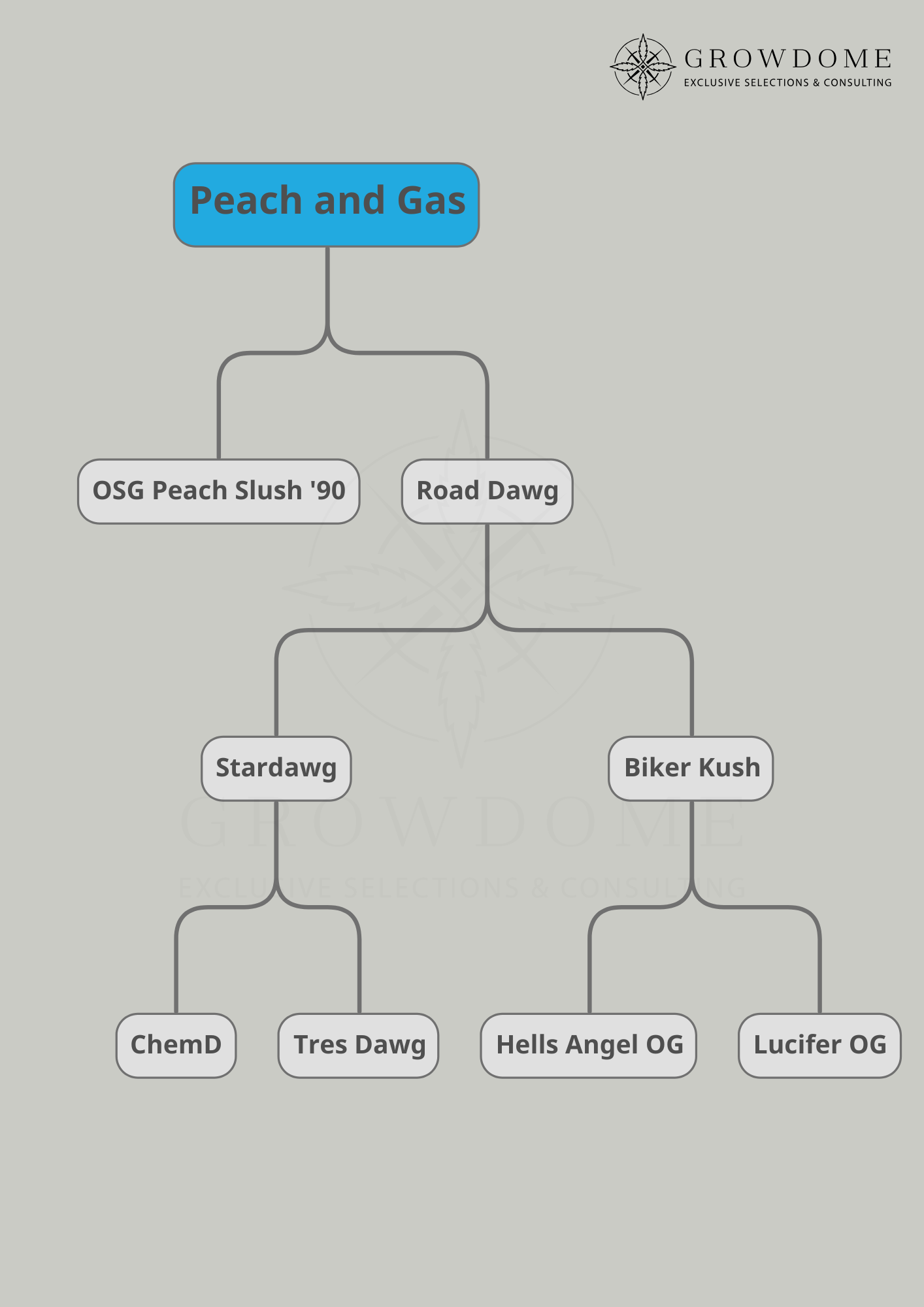 Peach and Gas S1 (feminisiert)