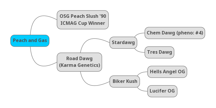 Peach and Gas S1