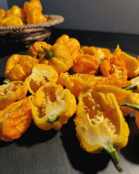 Yellow Moruga Scorpion - 15 seeds