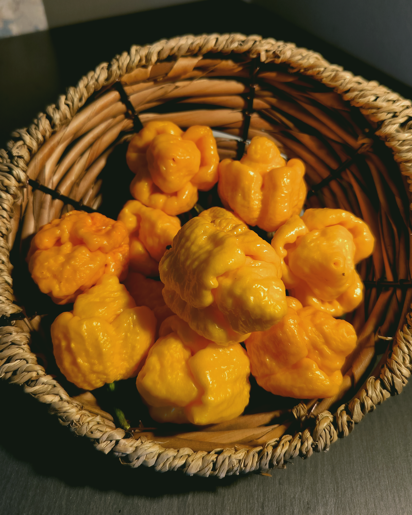 Yellow Moruga Scorpion - 15 seeds
