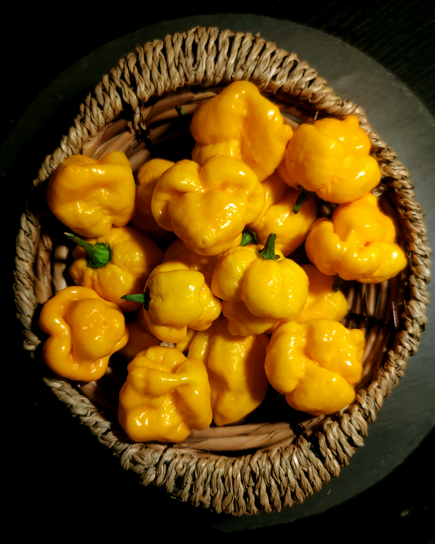 Yellow Scorpion Butch T - 15 seeds