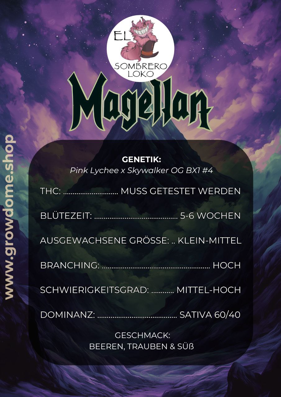 Magellan (feminisiert)