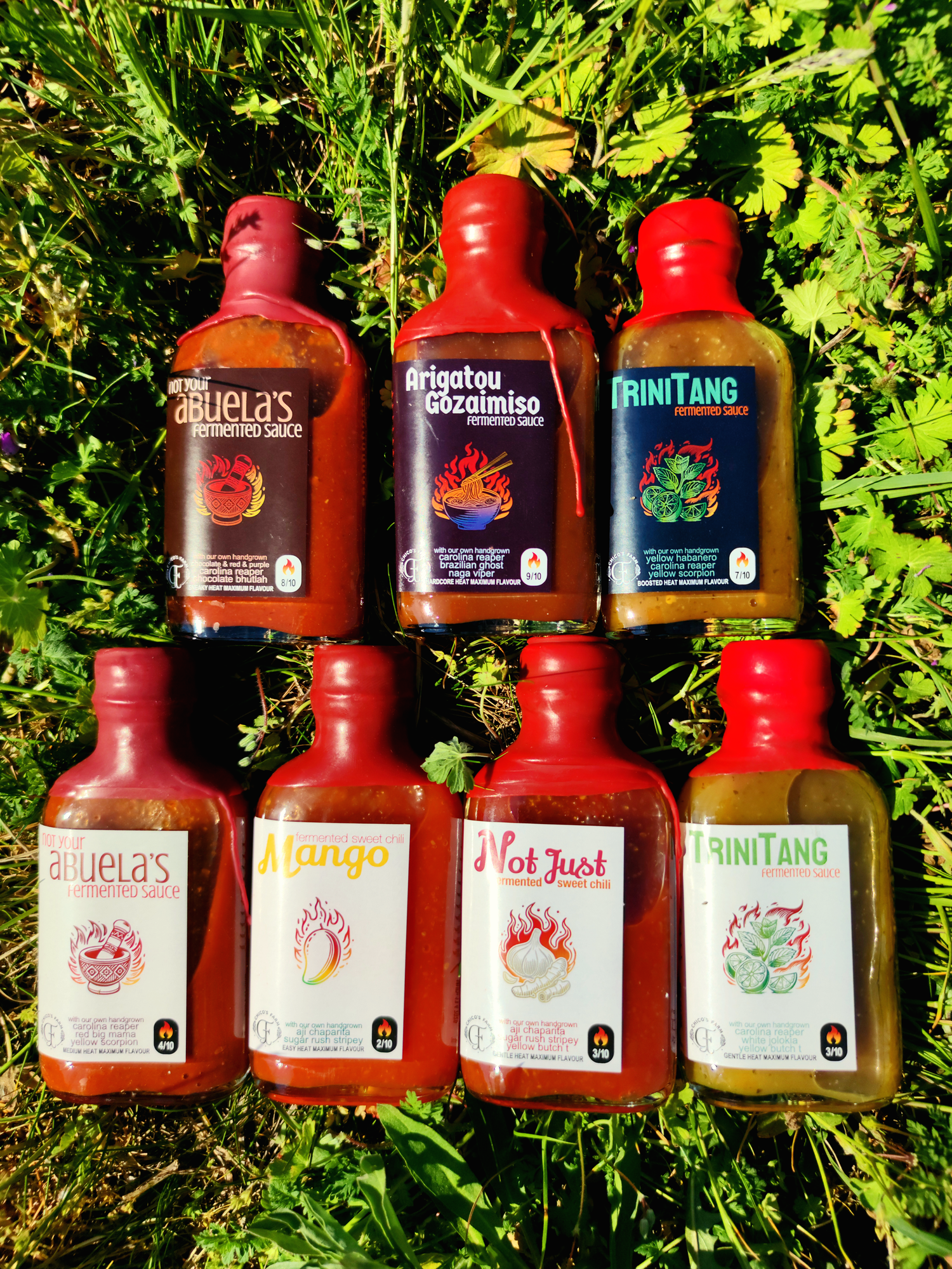 Chico´s Sauce