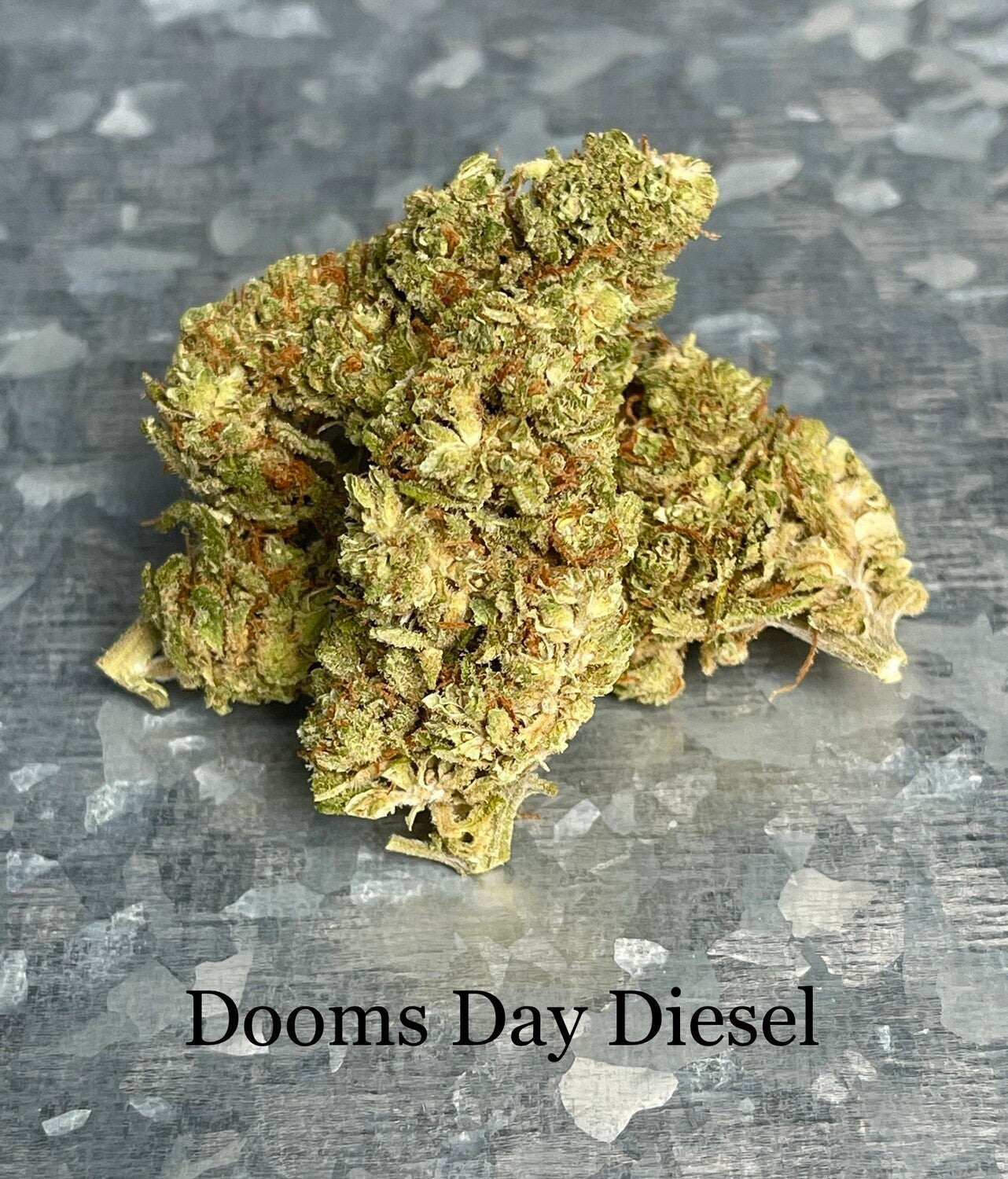 Doomsday Diesel CBD (feminisiert)