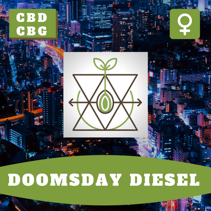 Doomsday Diesel CBD (feminisiert)