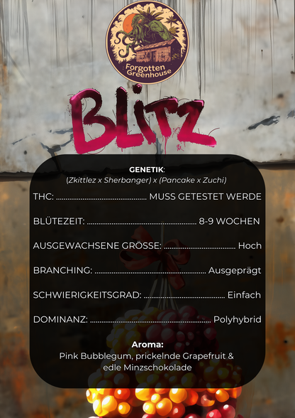 Blitz