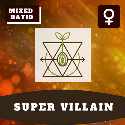 Super Villain (feminisiert)