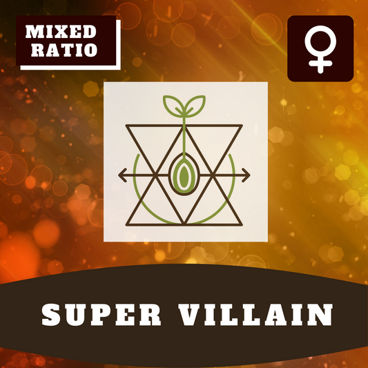 Super Villain (feminisiert)