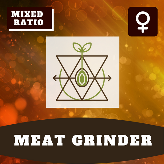 Meatgrinder (feminisiert)