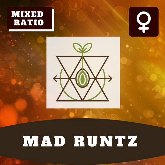 Mad Runtz (feminisiert)