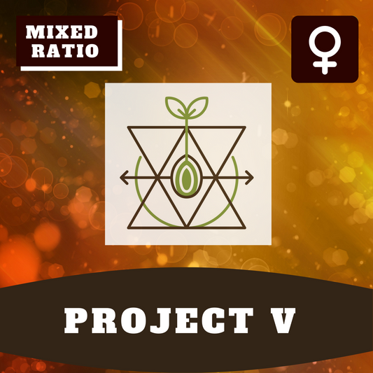 Project-V (feminisiert)