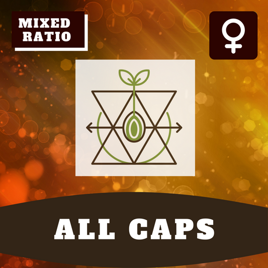 All Caps (feminisiert)