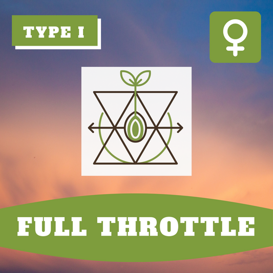 Full Throttle THCV (feminisiert)