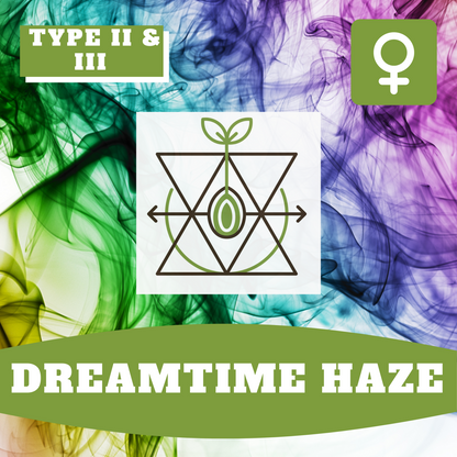 Dreamtime Haze (feminisiert)