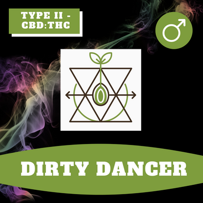 Dirty Dancer (Regular)
