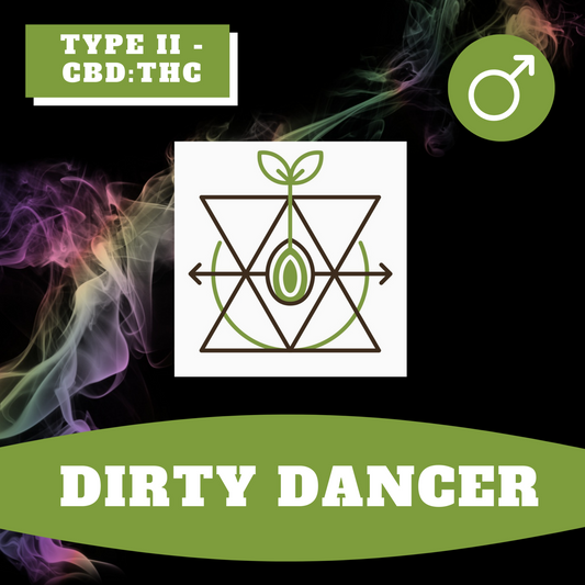 Dirty Dancer (Regular)
