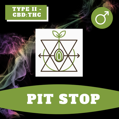 Pit Stop (Regular)