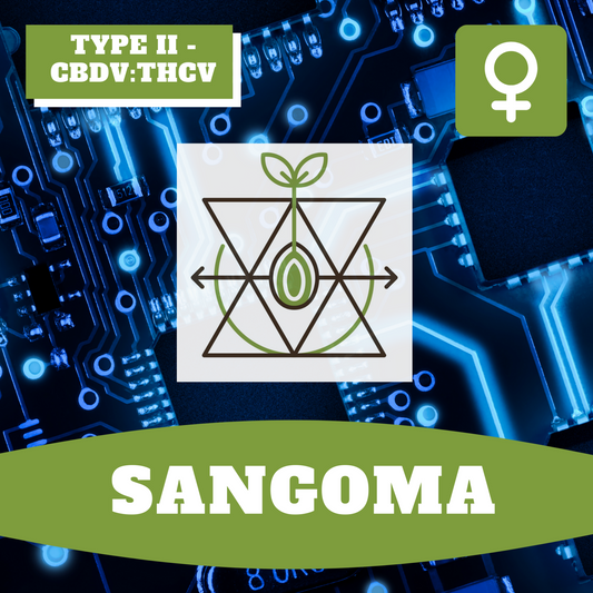 Sangoma (feminisiert)