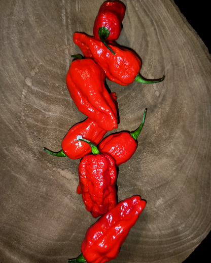 Brazilian Ghost Pepper - 15 seeds