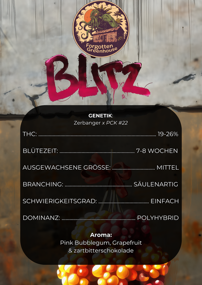 Blitz