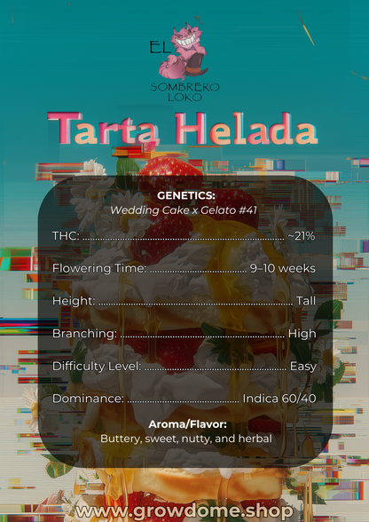 Tarta Helada / Ice Cream Cake (feminisiert)