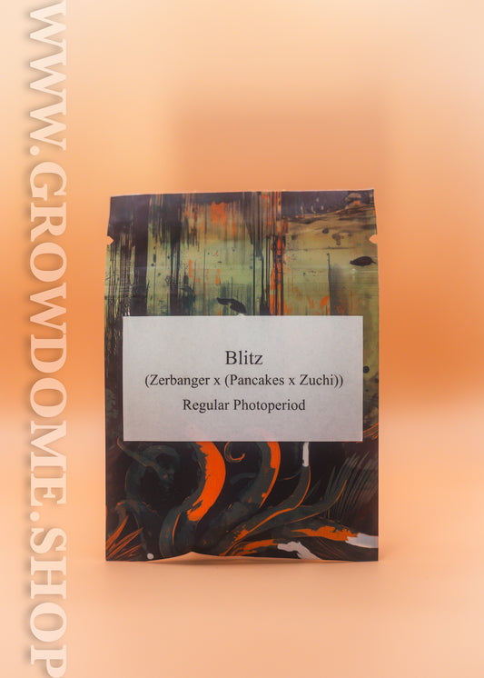 Blitz