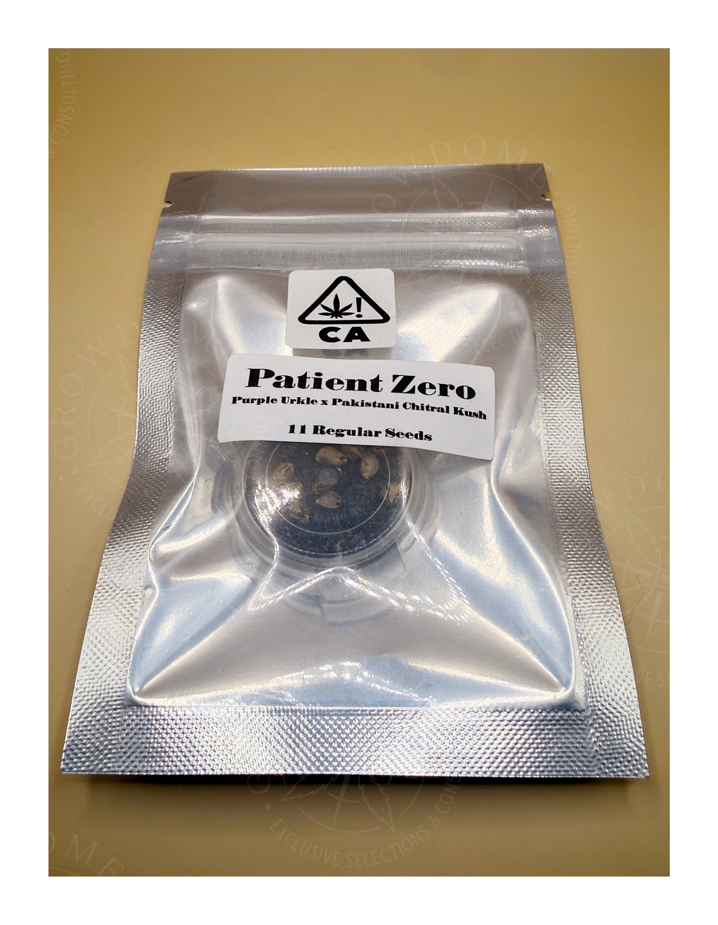 Patient Zero (regular)