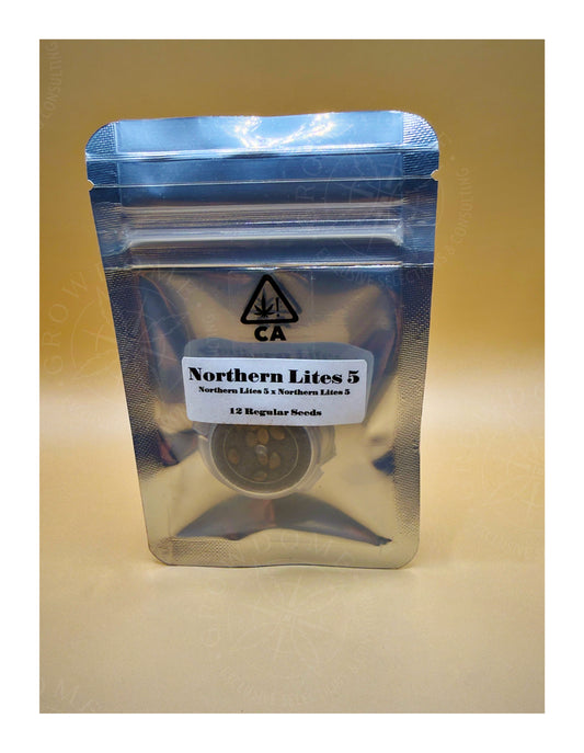 Northern Lights #5 (regular)