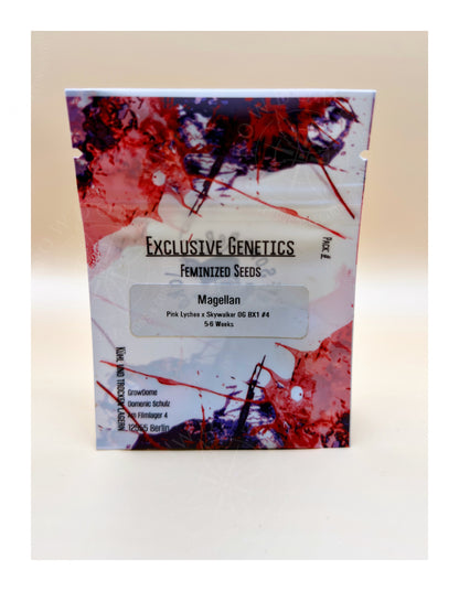 Magellan (feminisiert)