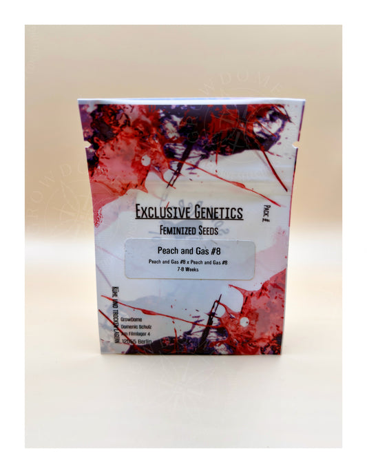 Peach and Gas Nr°8 (feminisiert)