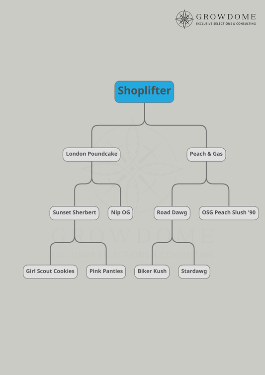 Shoplifter (feminisiert)