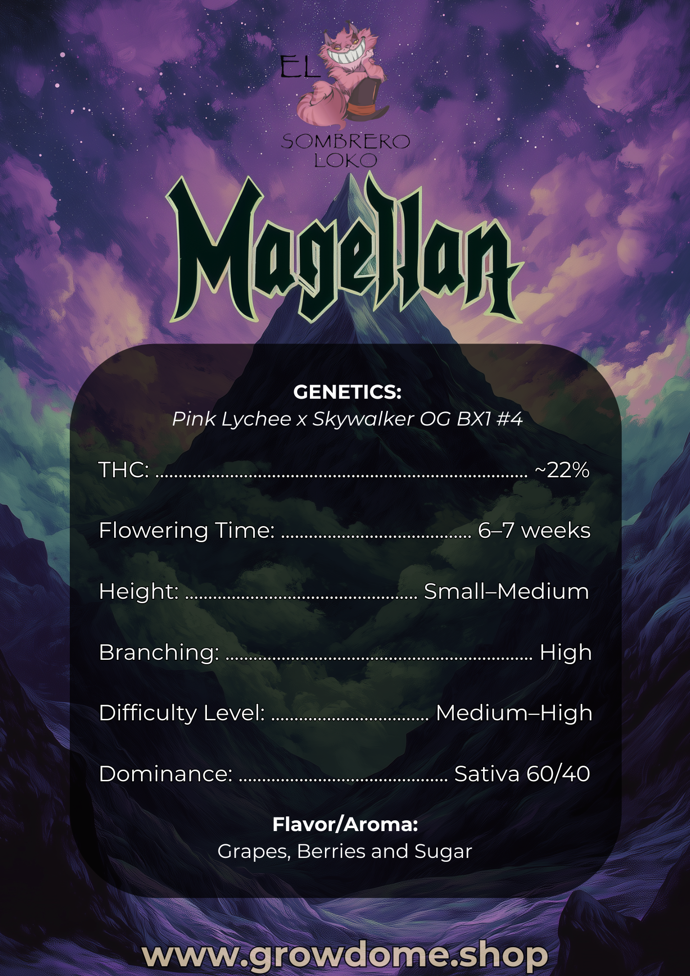 Magellan (feminisiert)