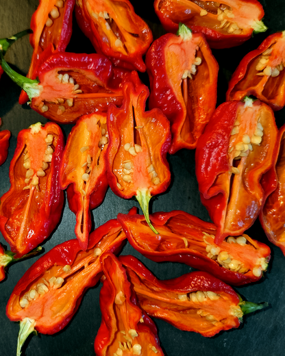 Naga Viper - 15 seeds
