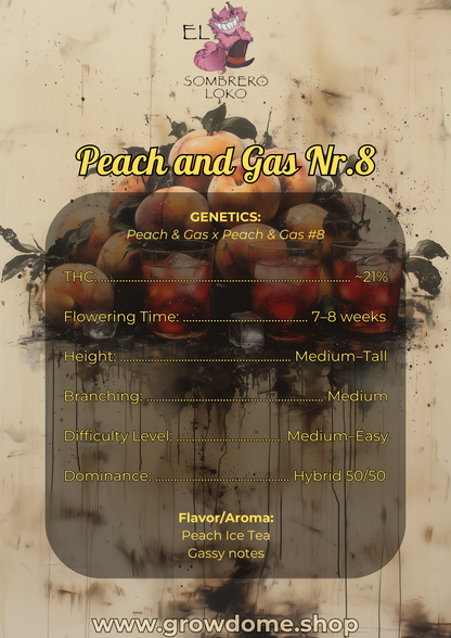 Peach and Gas No. 8
