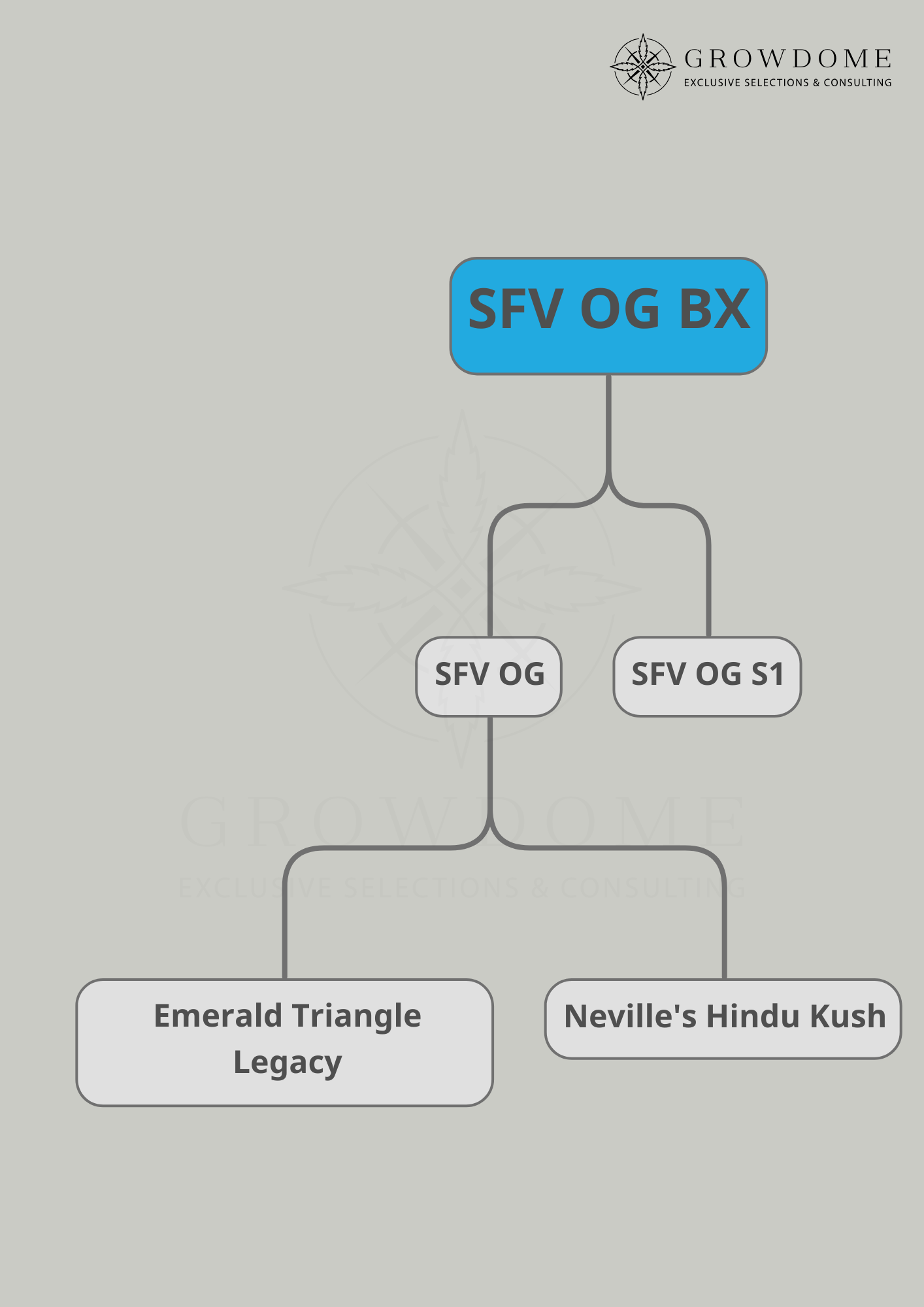 San Fernando Valley (feminisiert)