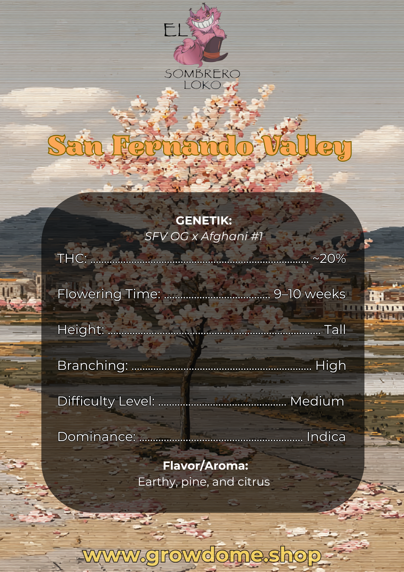 San Fernando Valley (feminisiert)