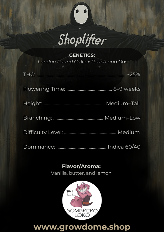 Shoplifter (feminisiert)