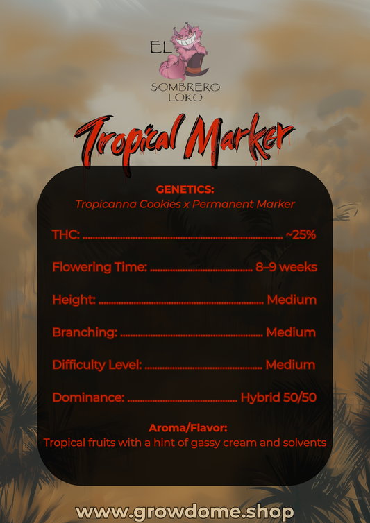 Tropical Marker (feminisiert)