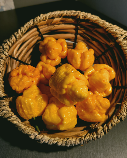Yellow Moruga Scorpion - 15 seeds