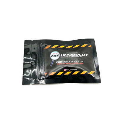 HP13 x Panama Red (Regular)